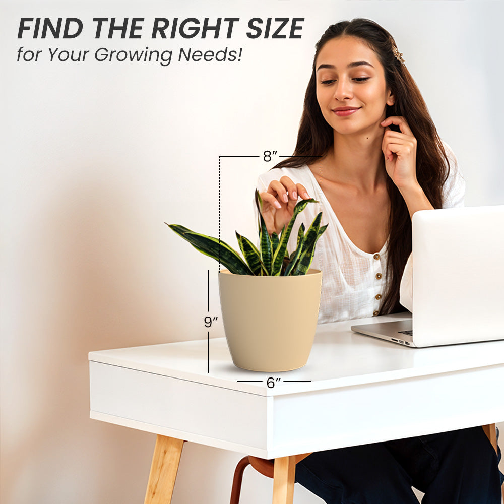 SHERA | STELLA PLANTER