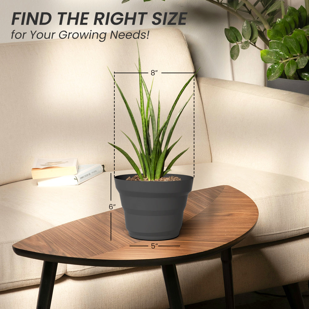 SHERA | RING PLANTER