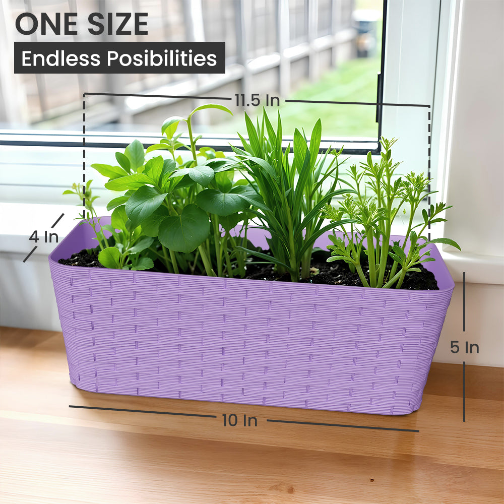 SHERA | RATTAN TRAY