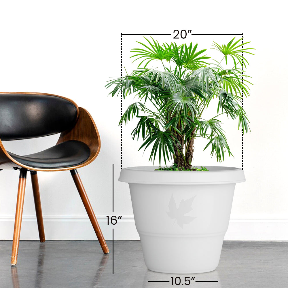SHERA | RD PLANTER