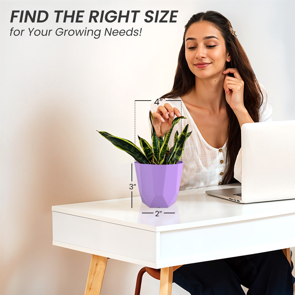 SHERA | HEXA PLANTER