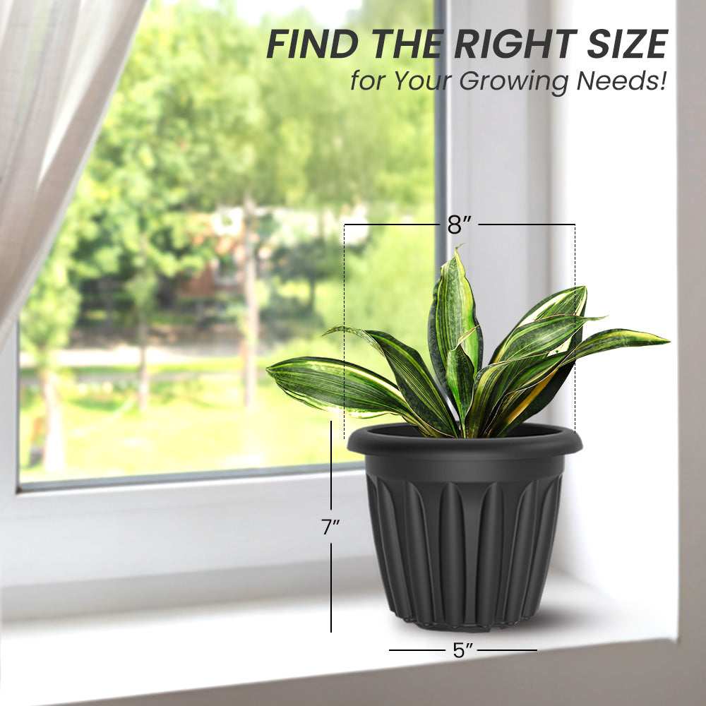 SHERA | FLOOT PLANTER