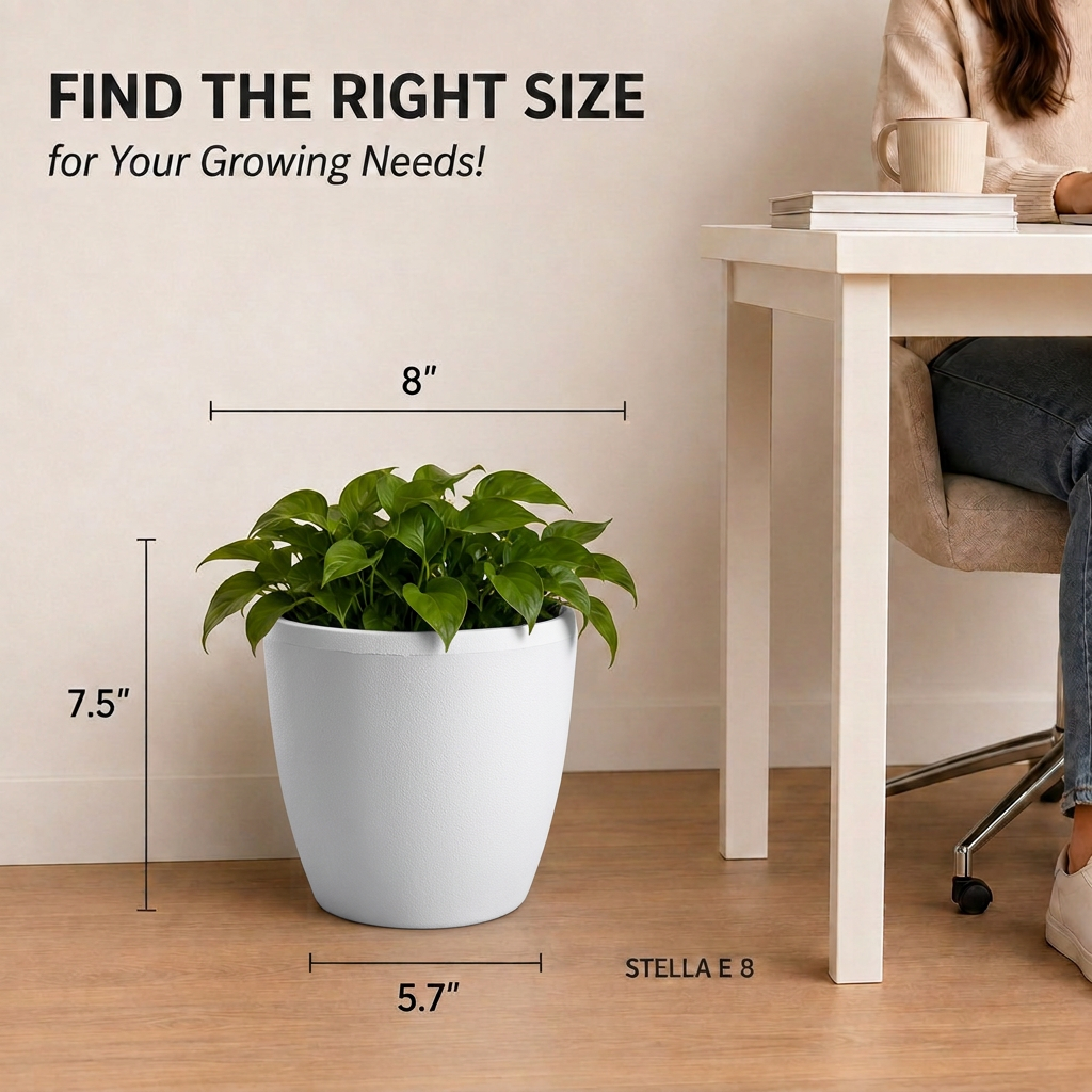 SHERA | STELLA E PLANTER
