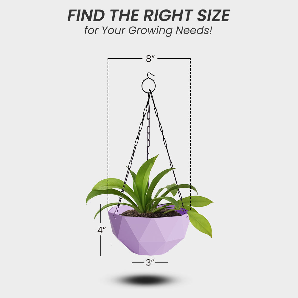 SHERA | DMD HANGING
