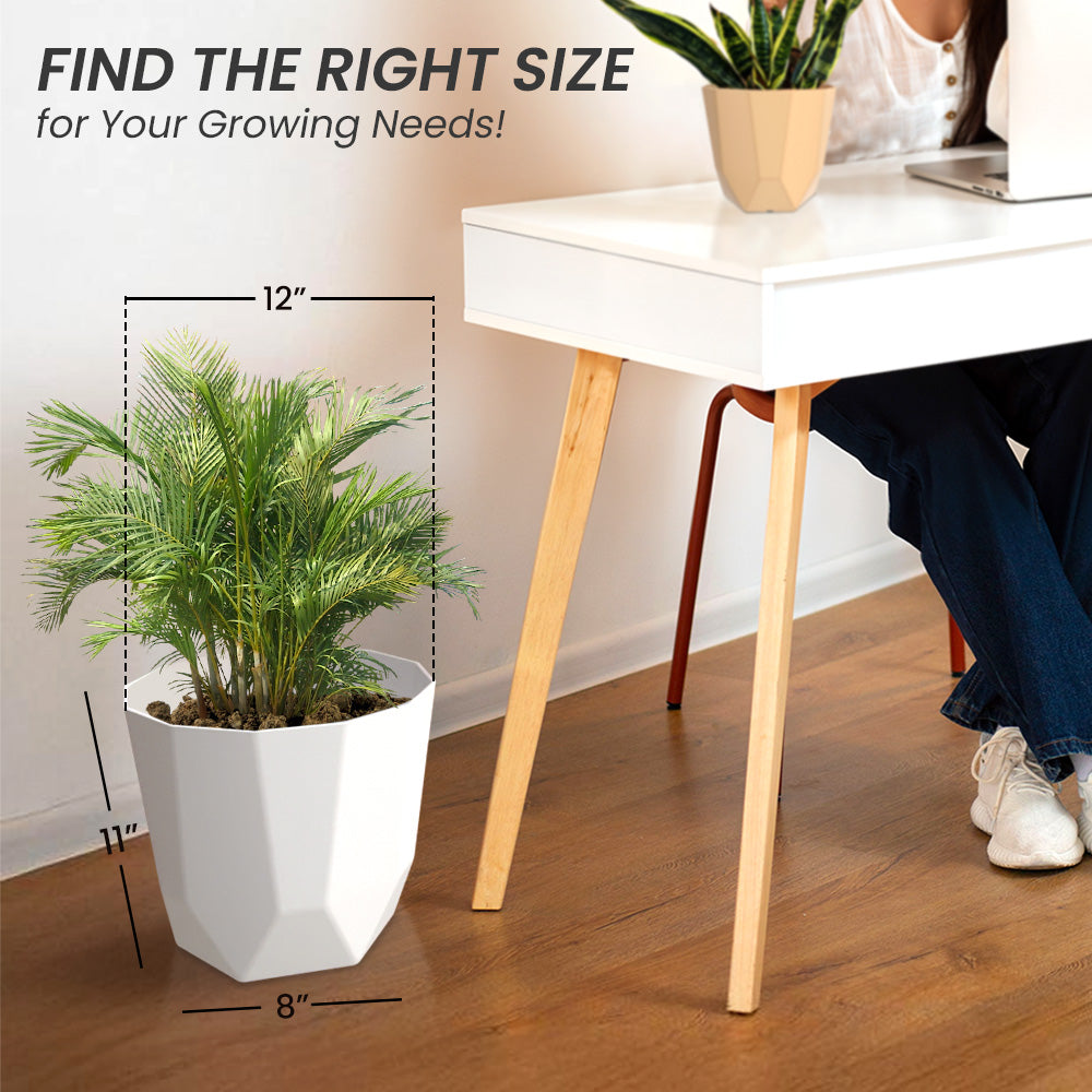 SHERA | HEXA PLANTER