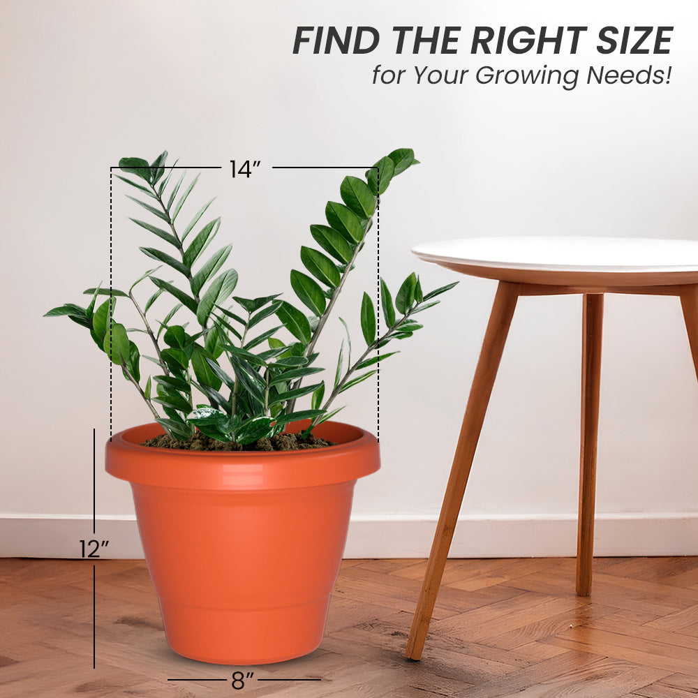 SHERA | SD PLANTER