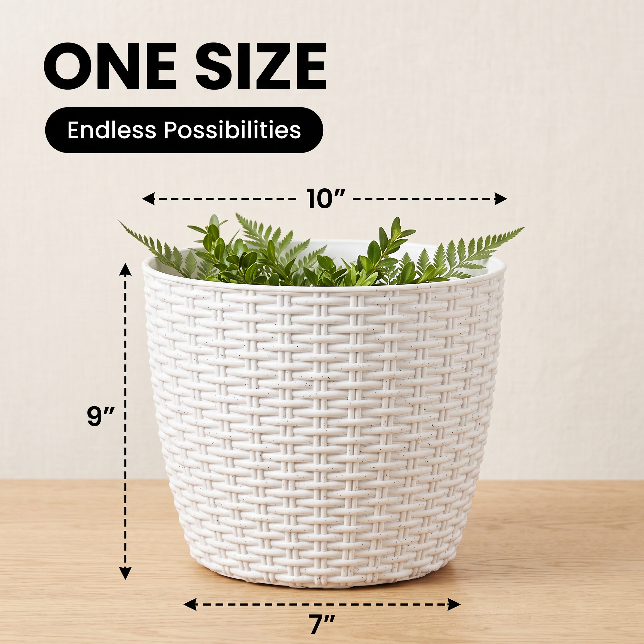 SHERA | STELLA R PLANTER