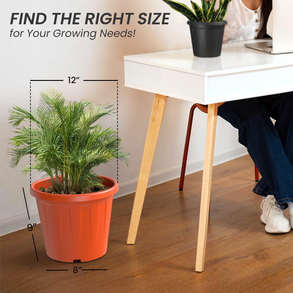 SHERA | CROWN PLANTER