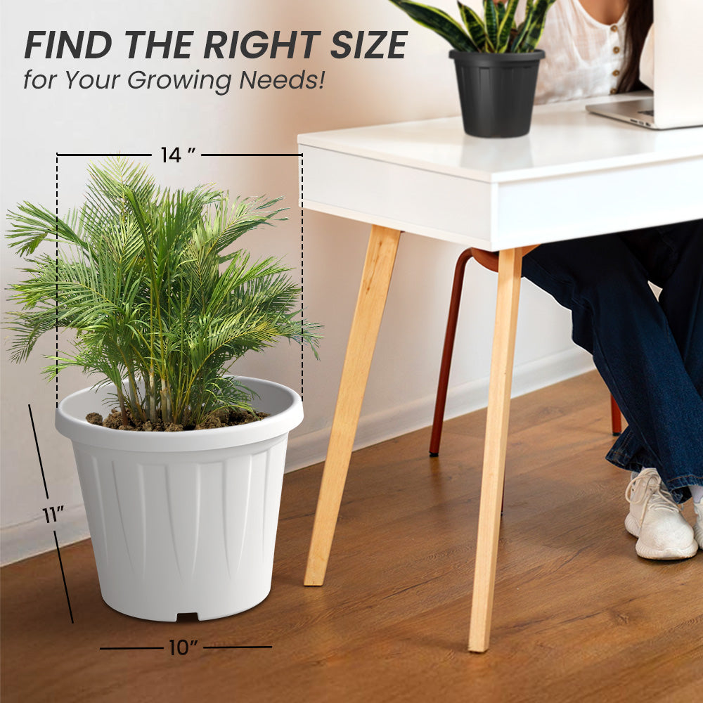 SHERA | CROWN PLANTER