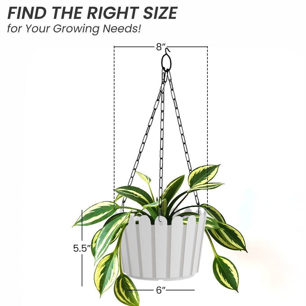 SHERA | FENCE HANGING