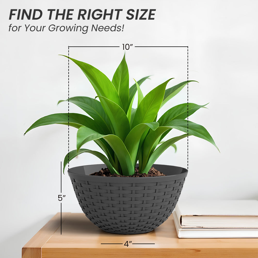 SHERA | CHICK KTR PLANTER