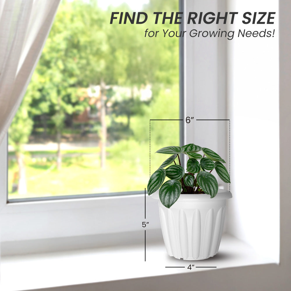 SHERA | FLOOT PLANTER