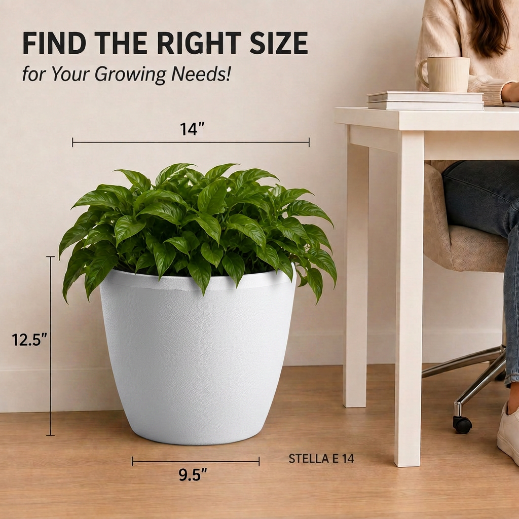 SHERA | STELLA E PLANTER