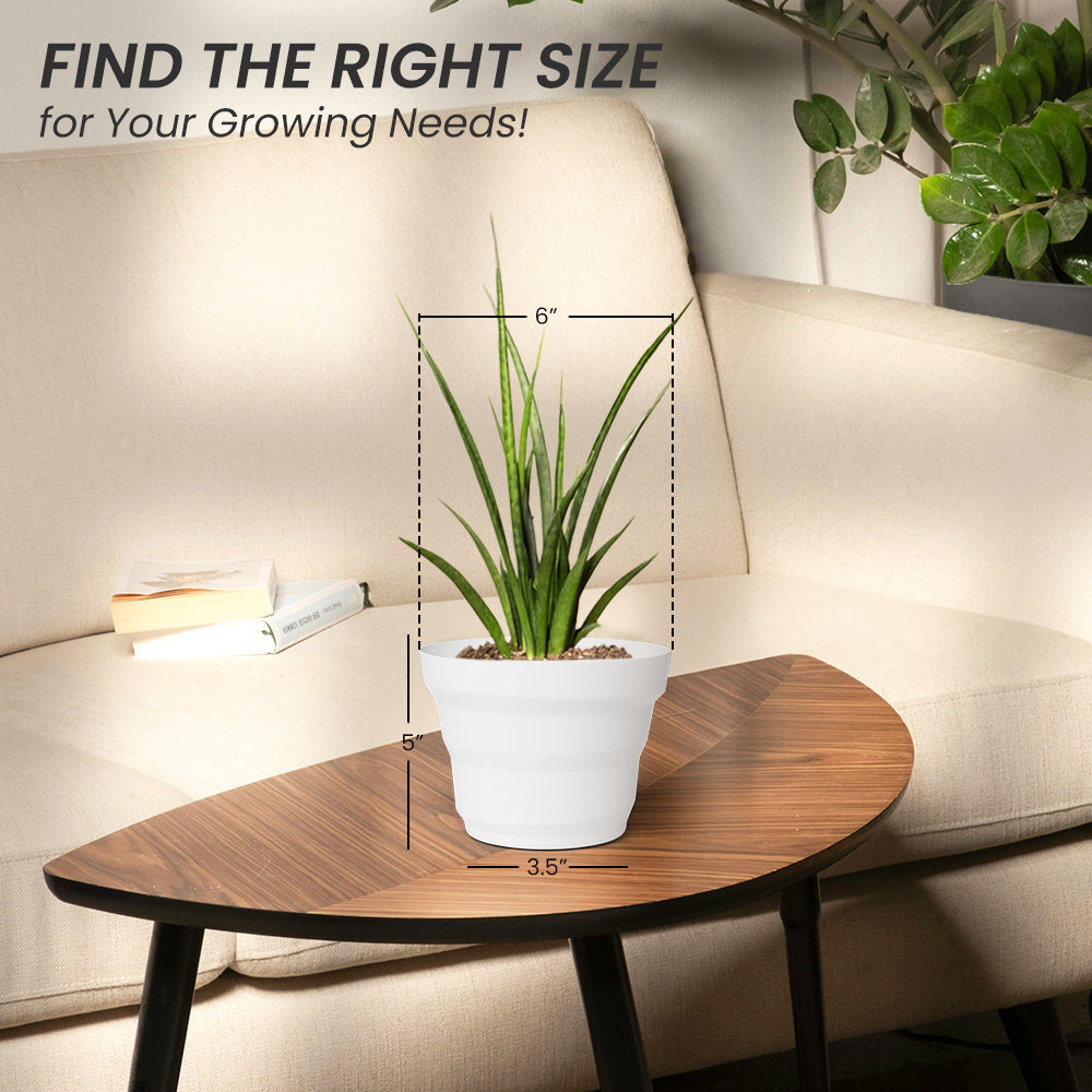 SHERA | RING PLANTER