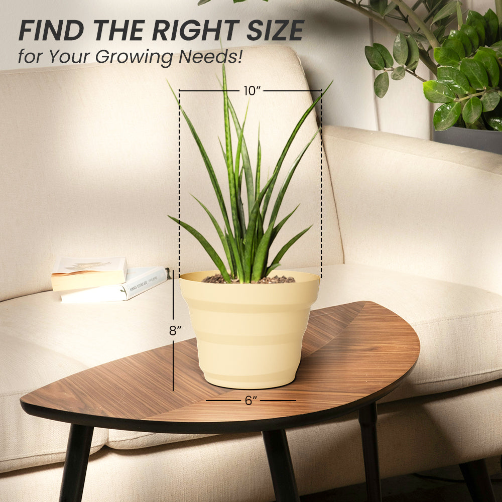 SHERA | RING PLANTER