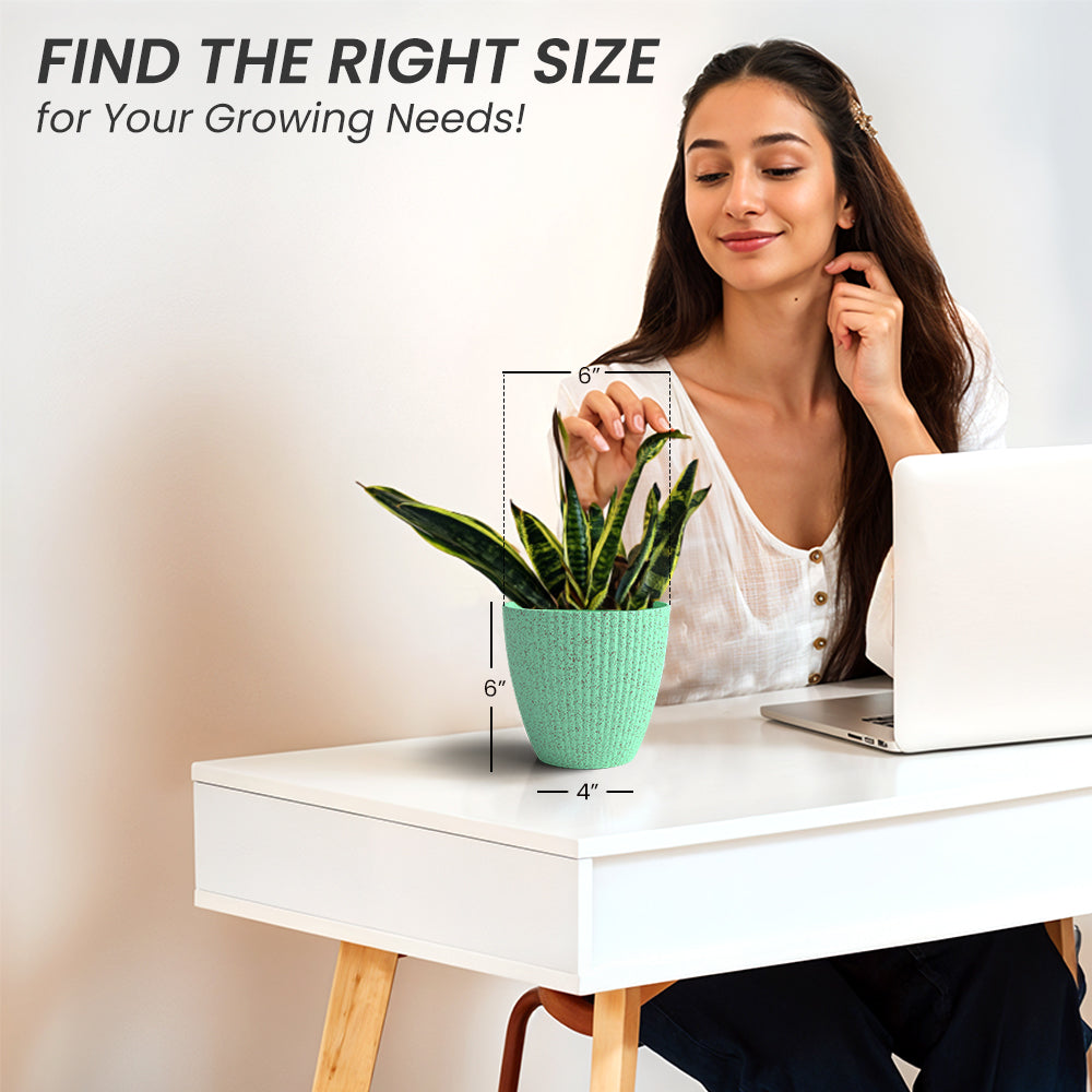 SHERA | LOTUS BIO PLANTER