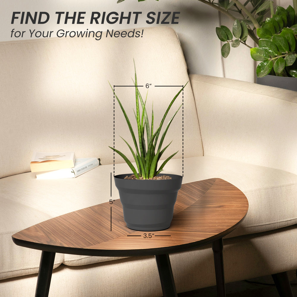 SHERA | RING PLANTER