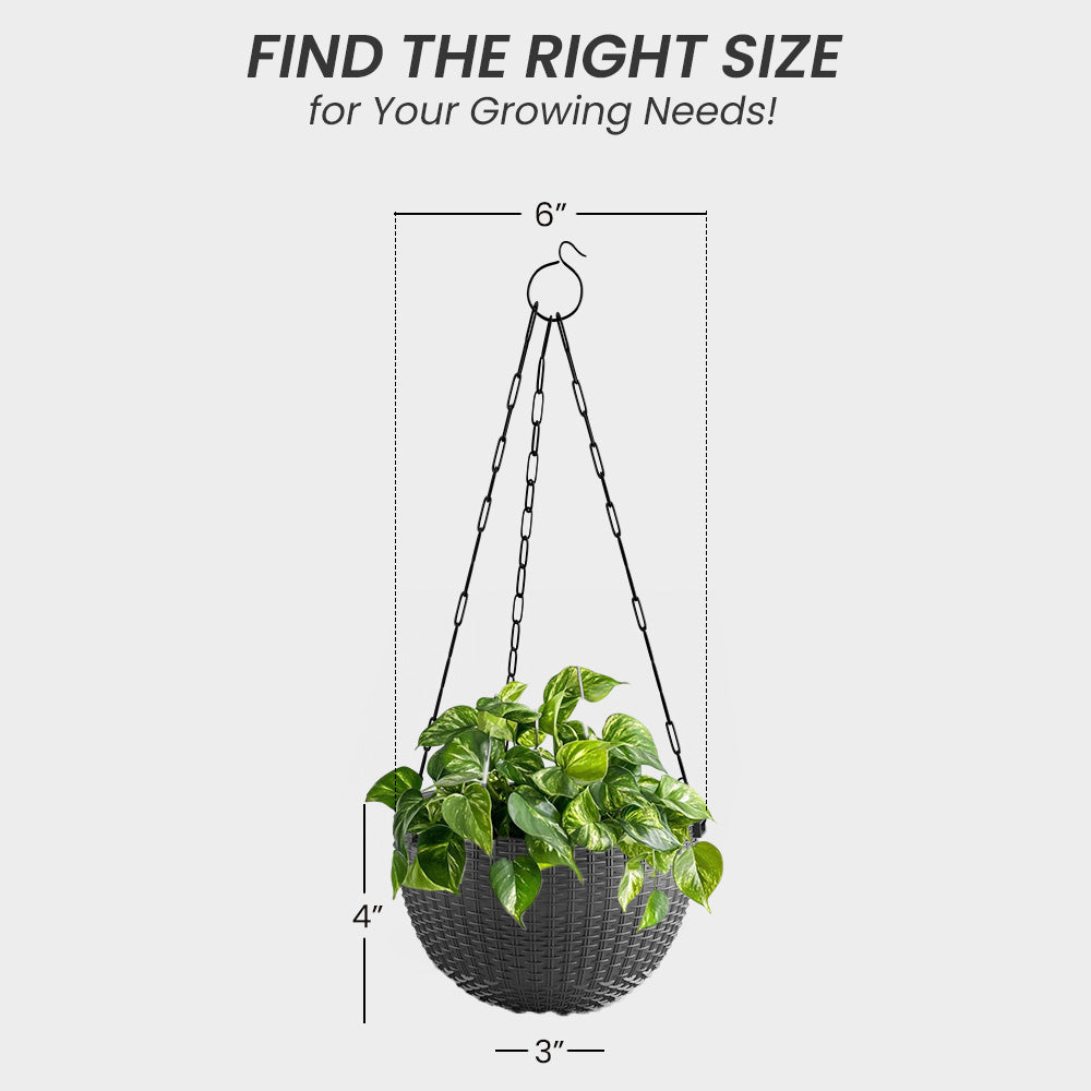 SHERA | RATTAN HANGING