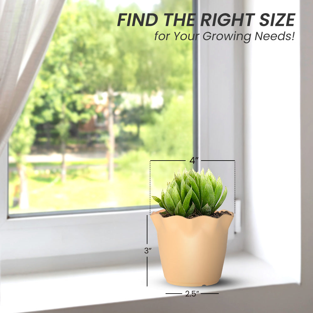 SHERA | FLOWER PLANTER