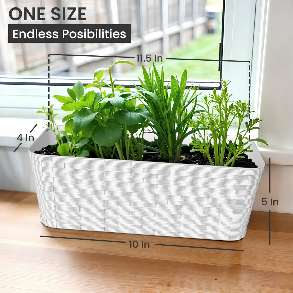 SHERA | RATTAN TRAY