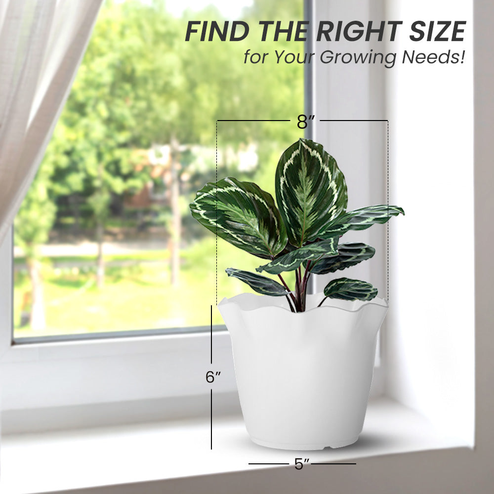 SHERA | FLOWER PLANTER