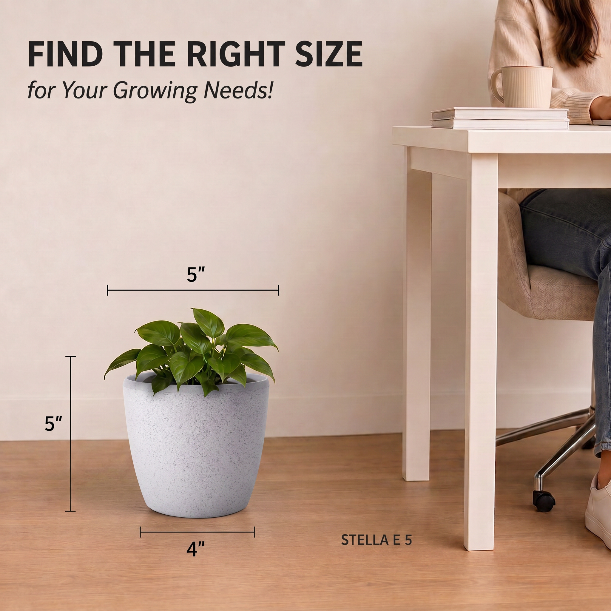SHERA | STELLA E PLANTER