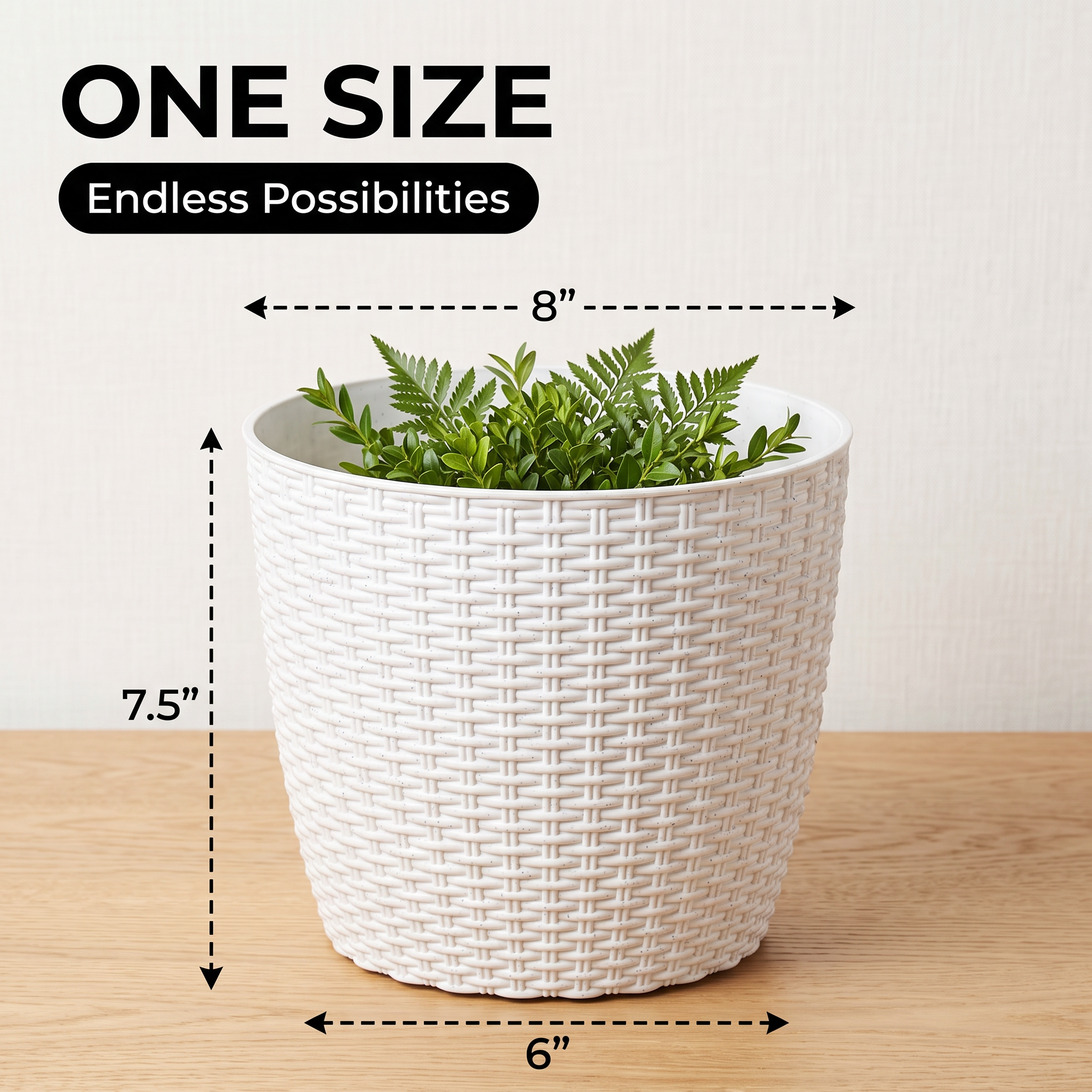 SHERA | STELLA R PLANTER