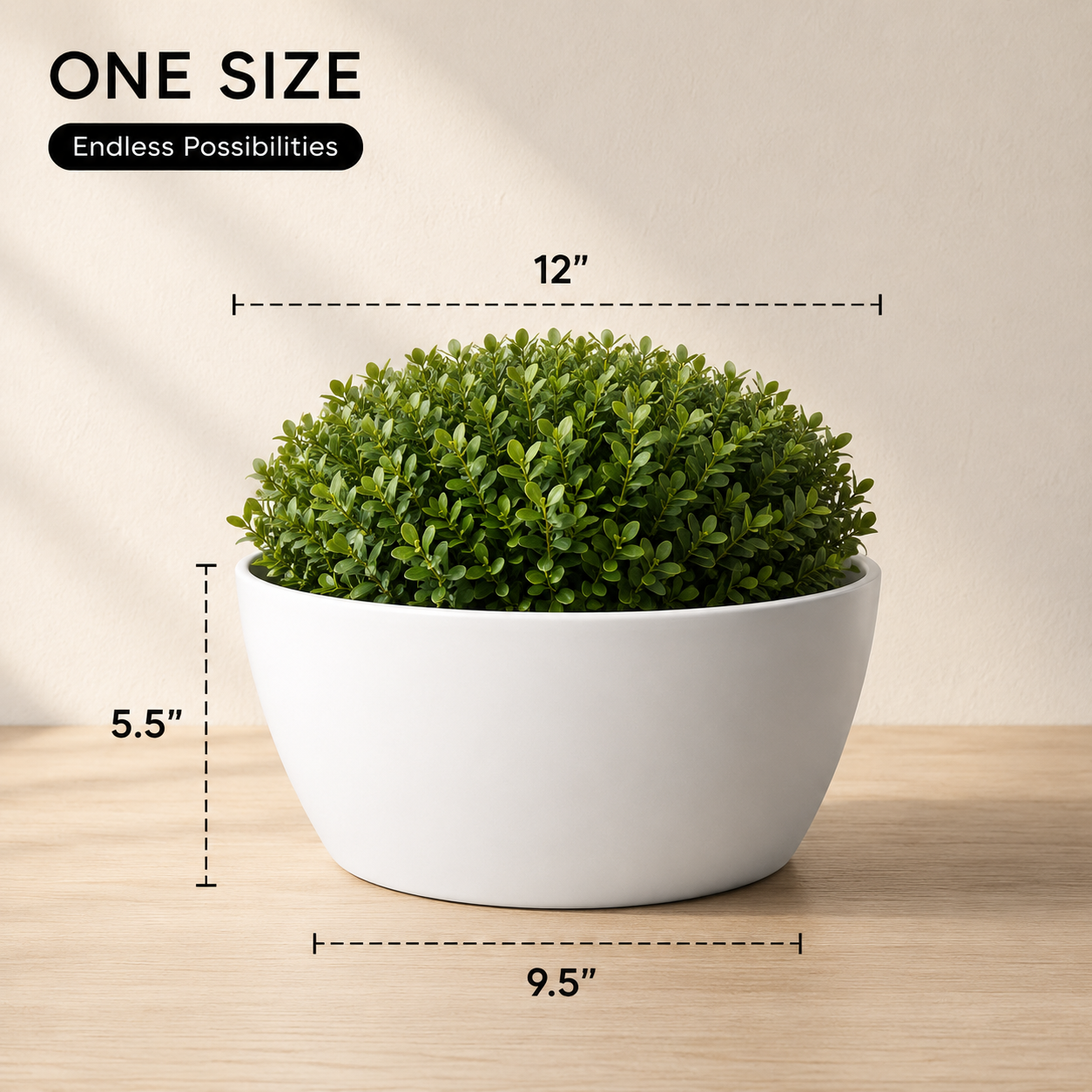 SHERA | STELLA K PLANTER