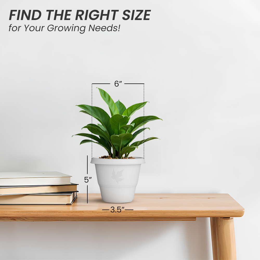 SHERA | RD PLANTER