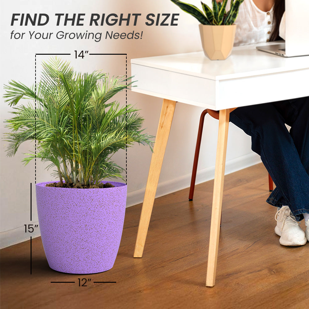 SHERA | STELLA BIO PLANTER