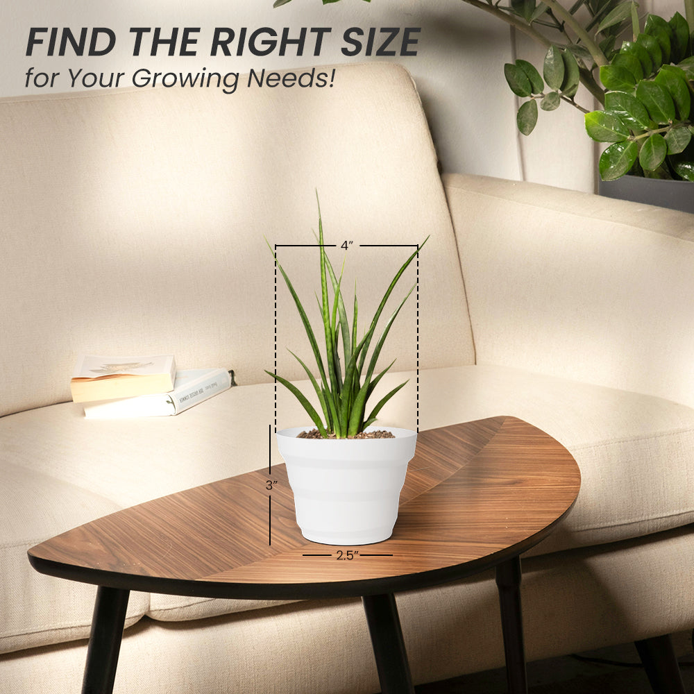 SHERA | RING PLANTER