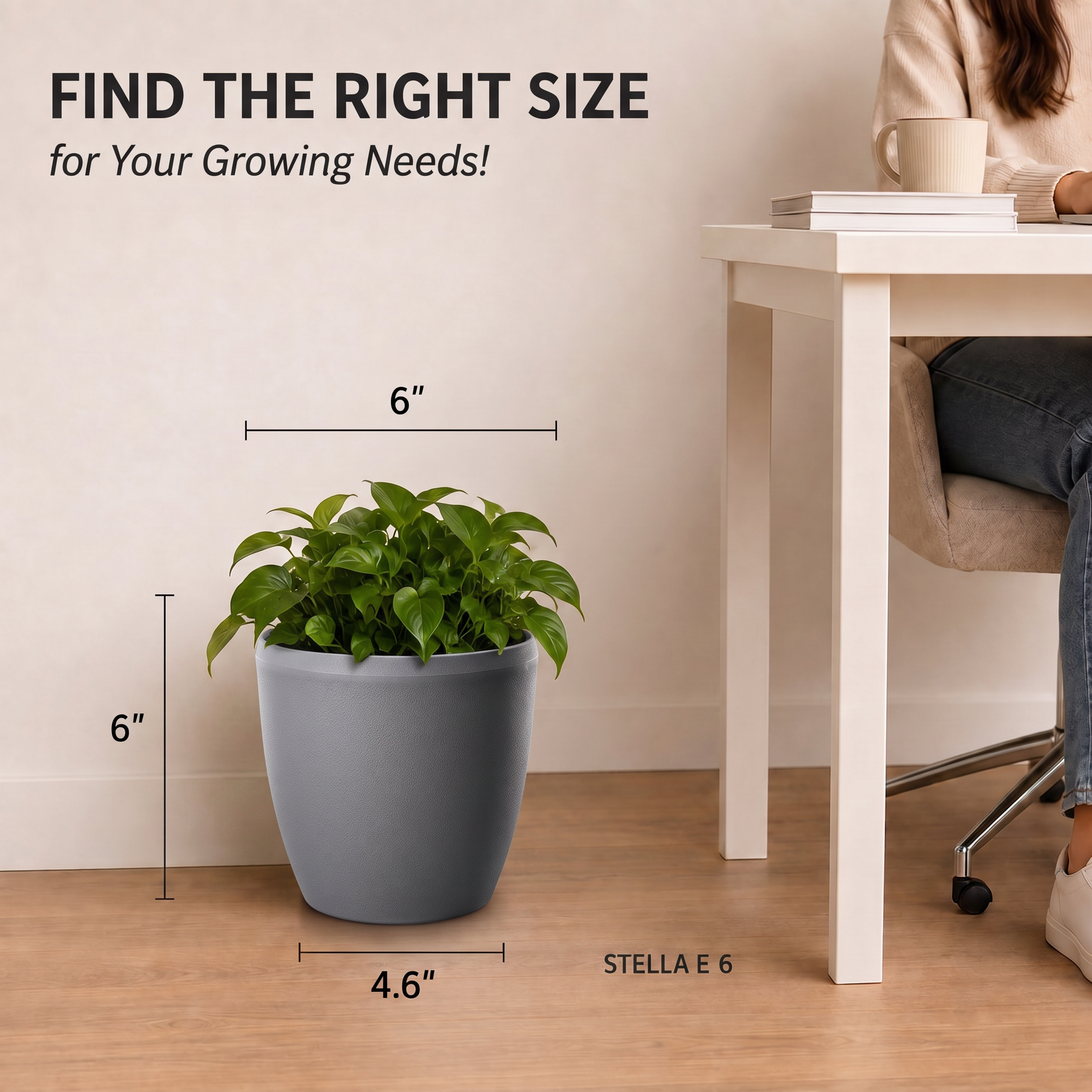 SHERA | STELLA E PLANTER