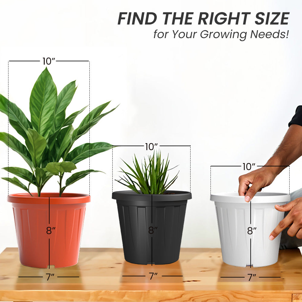 SHERA | CROWN PLANTER