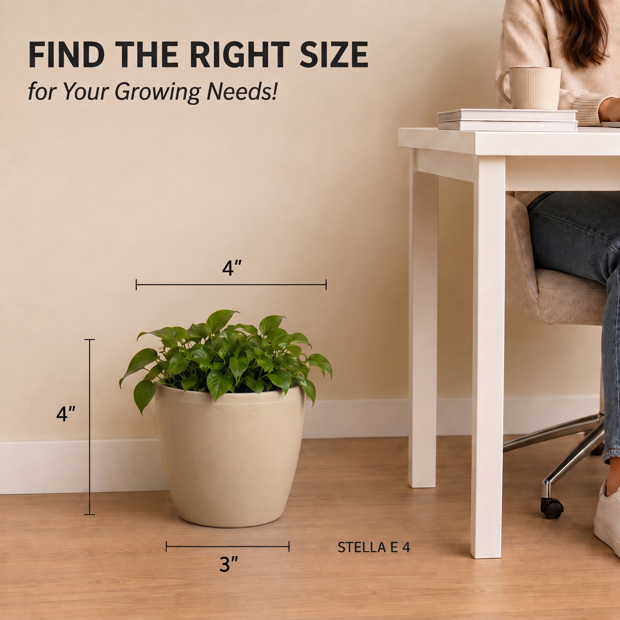 SHERA | STELLA E PLANTER