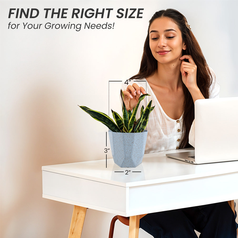 SHERA | HEXA BIO PLANTER