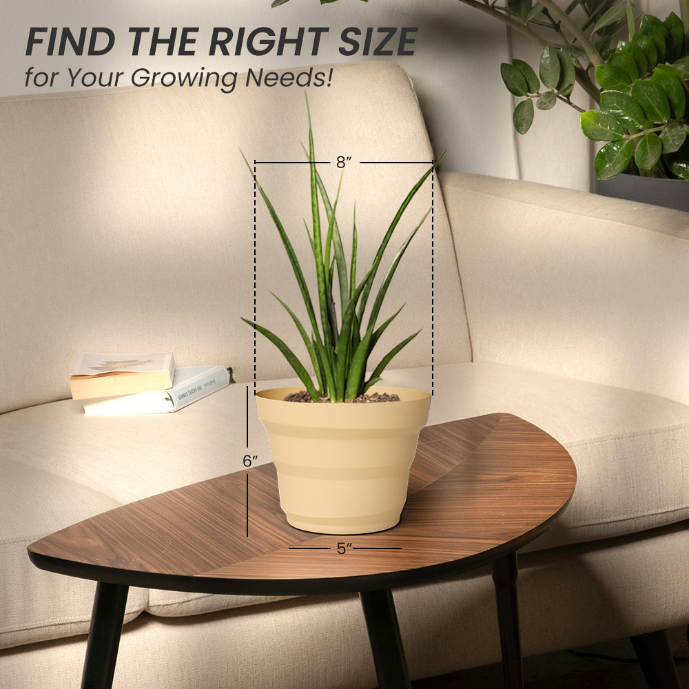 SHERA | RING PLANTER