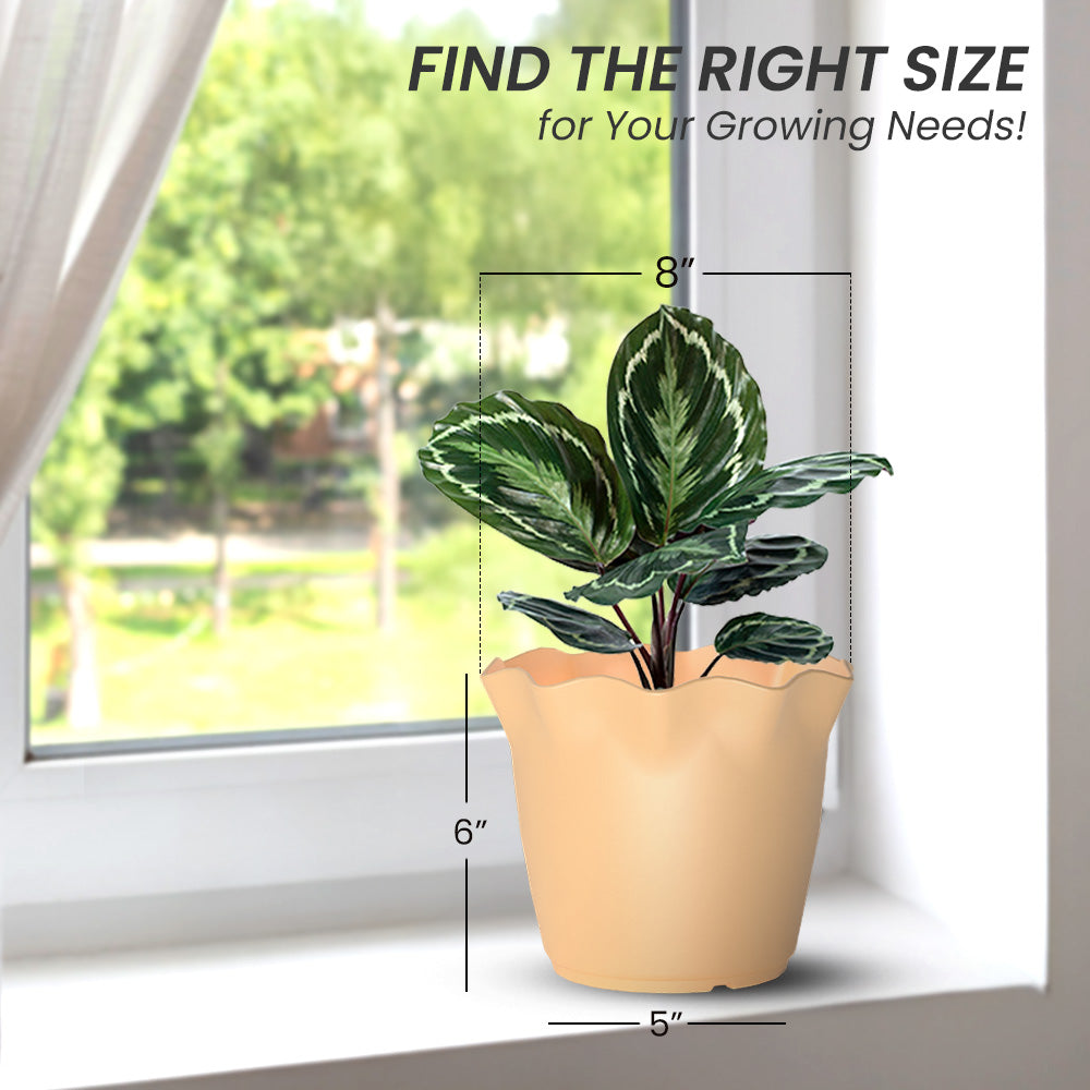 SHERA | FLOWER PLANTER