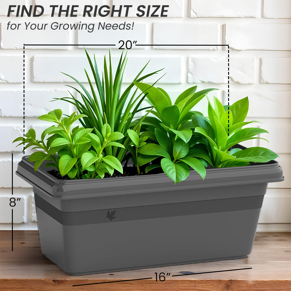 SHERA | TP PLANTER