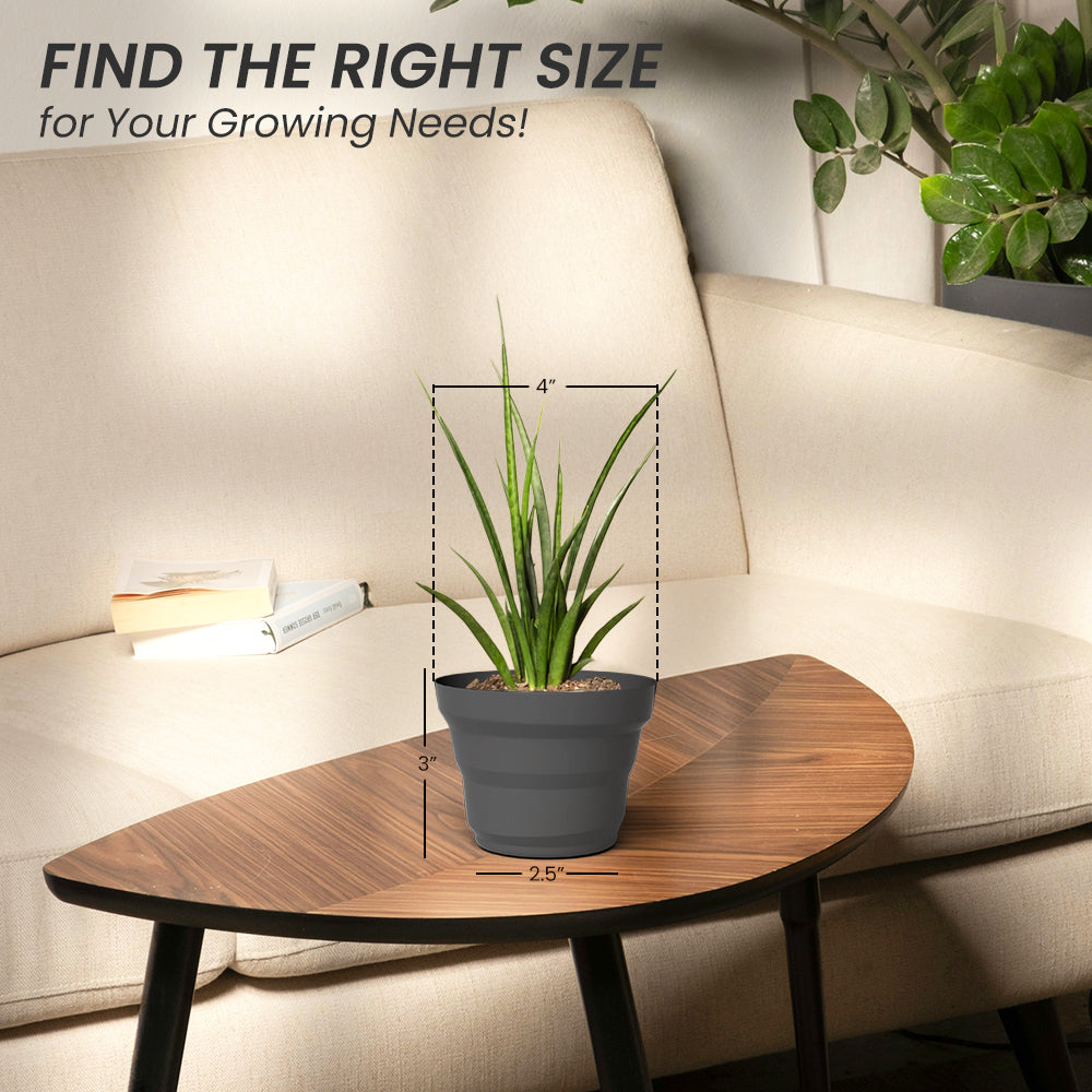 SHERA | RING PLANTER