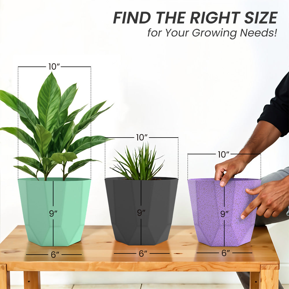 SHERA | HEXA PLANTER