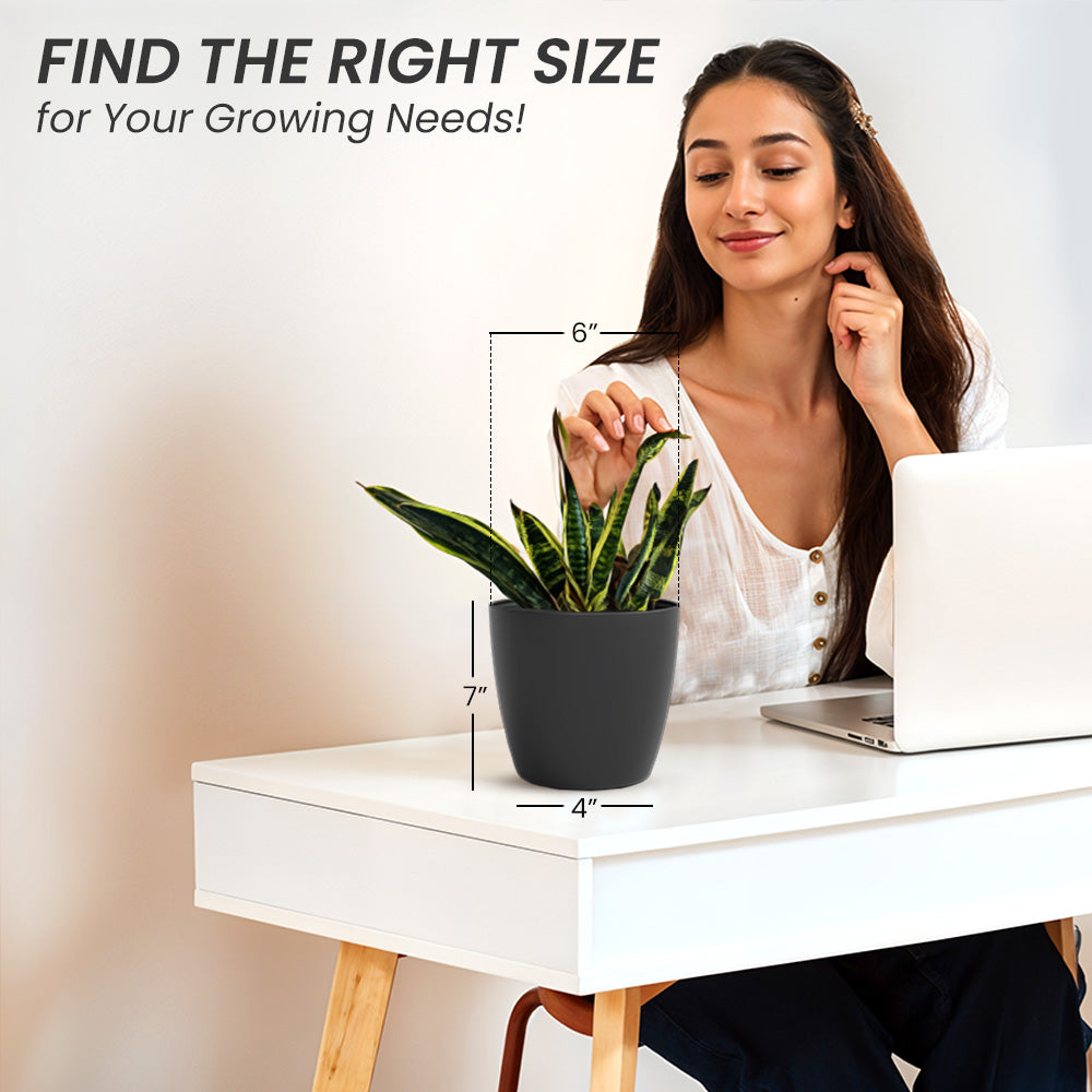 SHERA | STELLA PLANTER