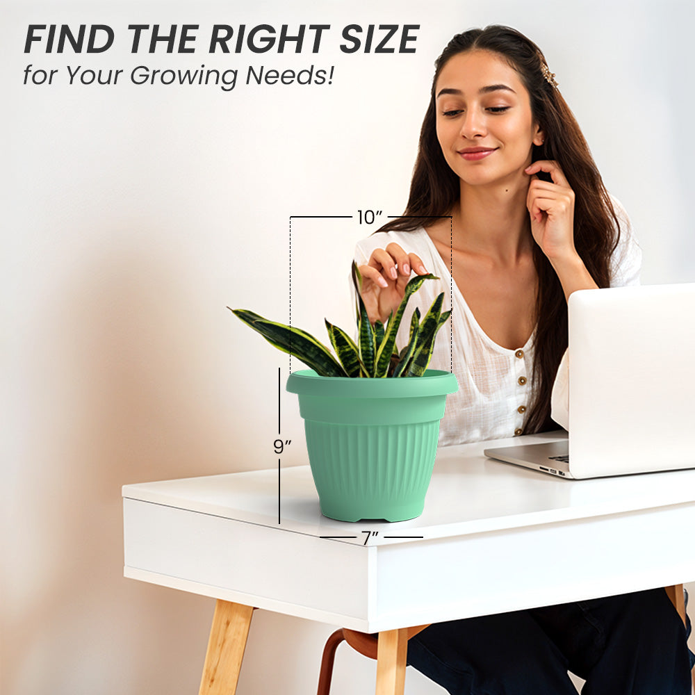 SHERA | BLOOM PLANTER