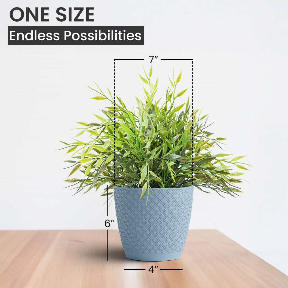 SHERA | CRUZ PLANTER