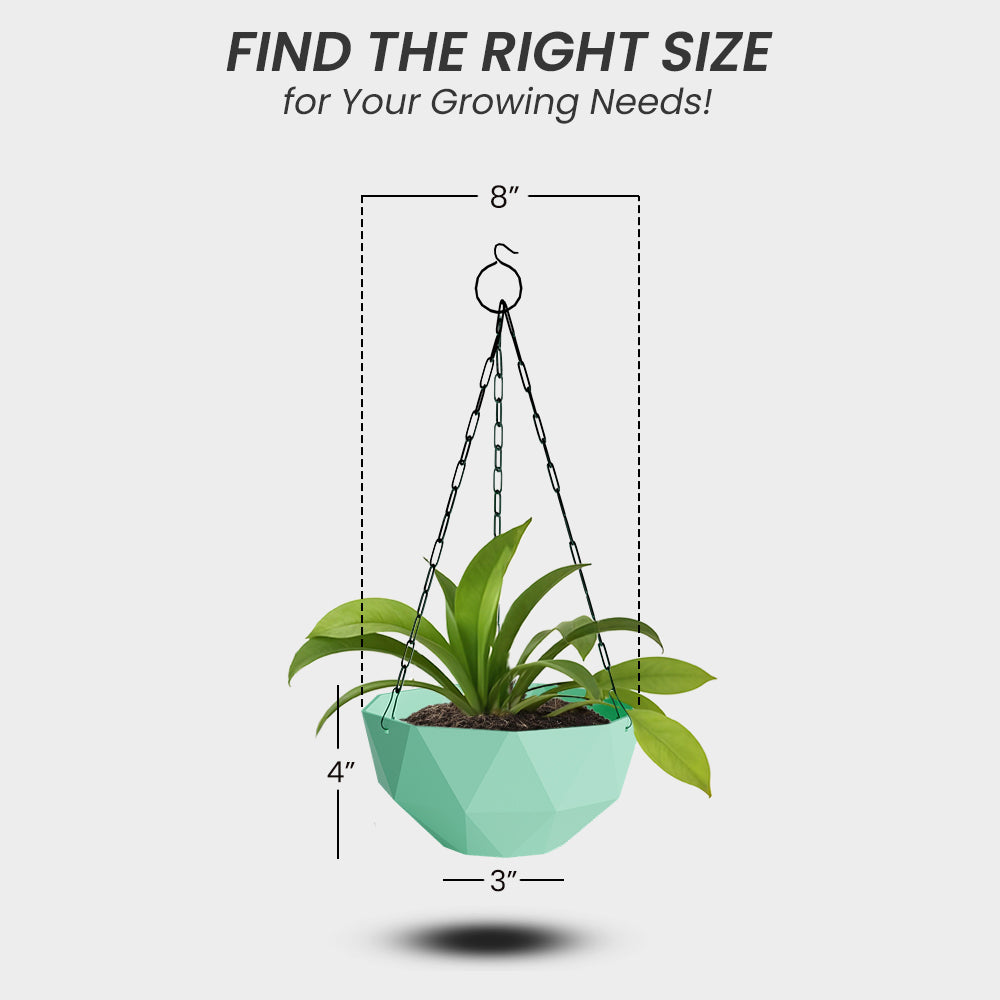 SHERA | DMD HANGING