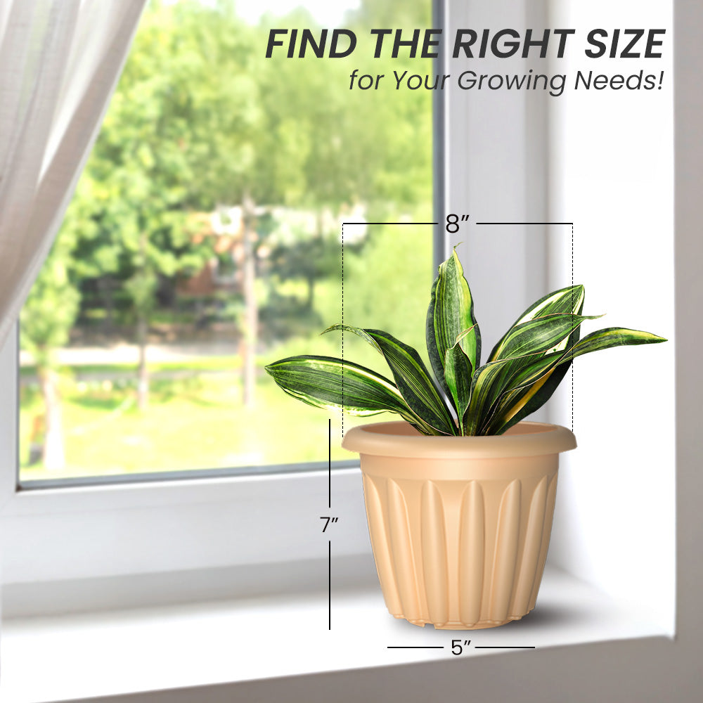 SHERA | FLOOT PLANTER