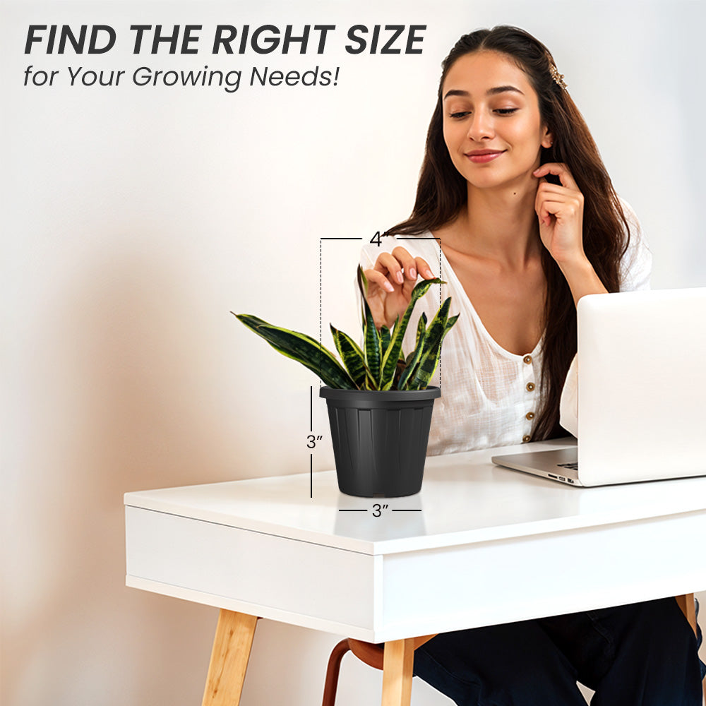 SHERA | CROWN PLANTER