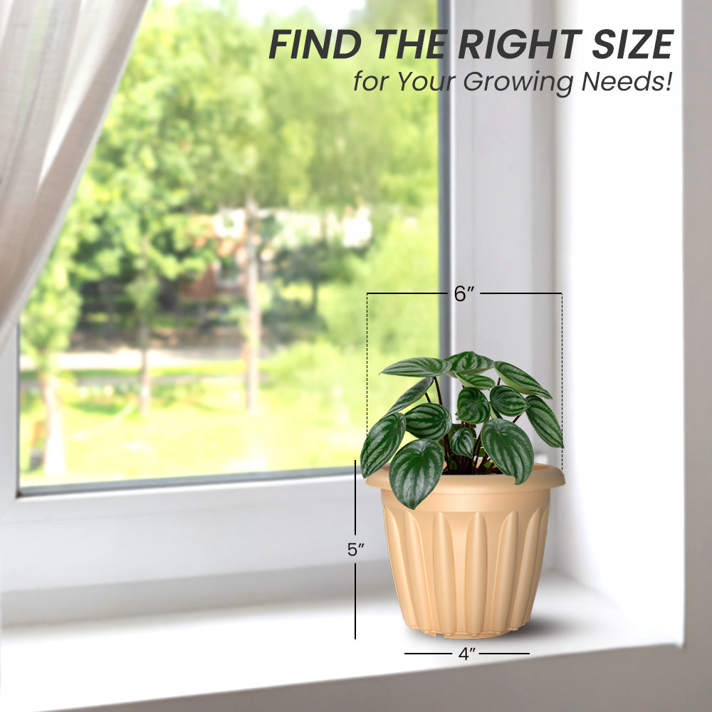 SHERA | FLOOT PLANTER