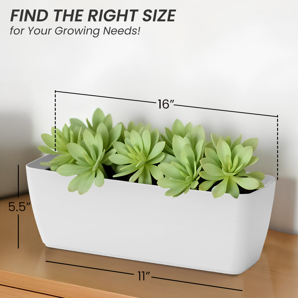 SHERA | CABI TRAY PLANTER