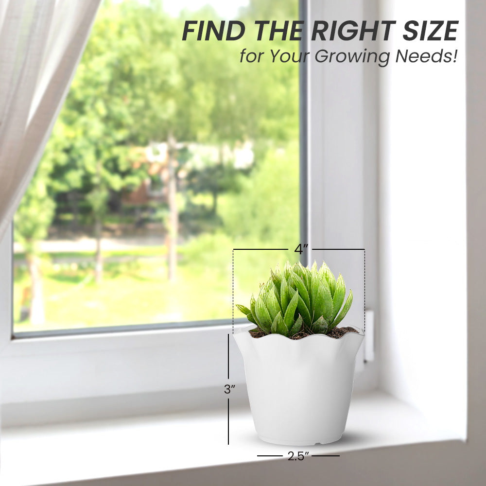 SHERA | FLOWER PLANTER