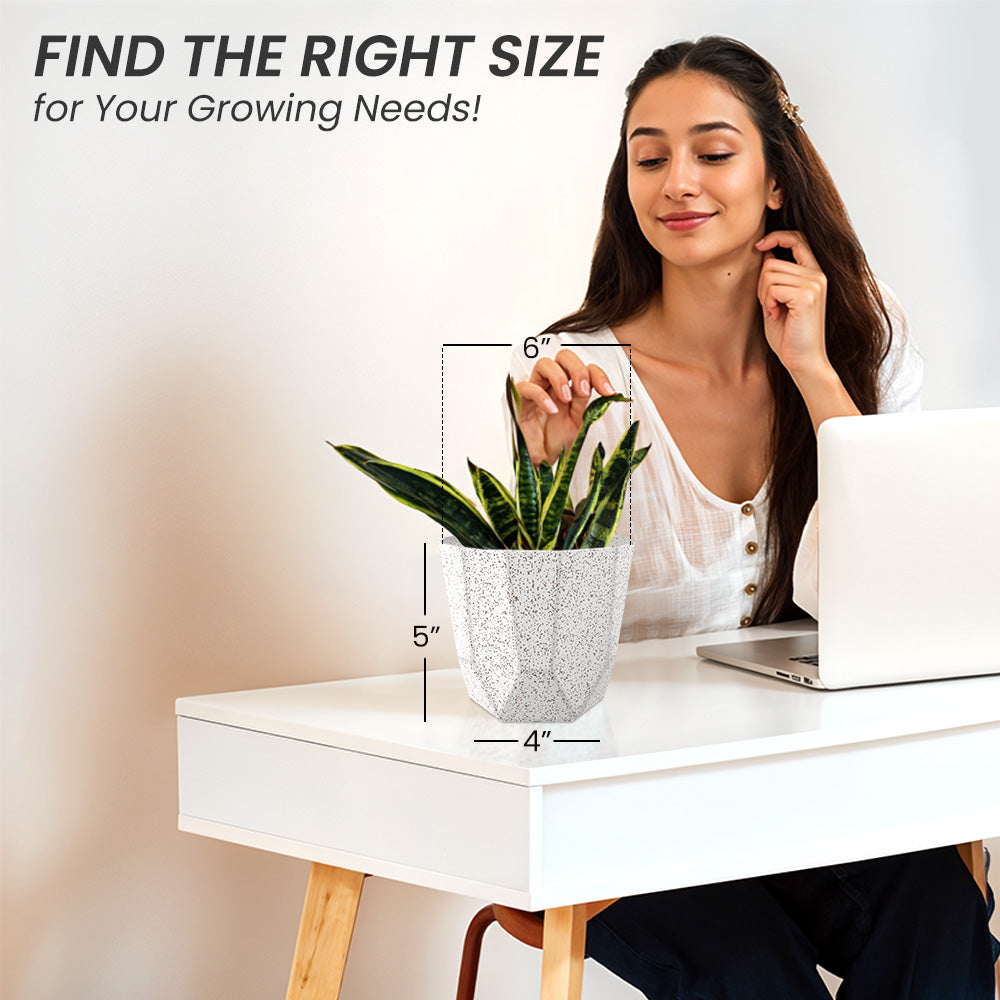 SHERA | HEXA BIO PLANTER